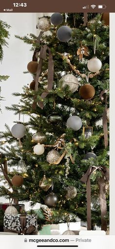 Bronze Tree Christmas, Norway Spruce Christmas Tree, Studio Mcgee Christmas 2024, Velvet Ornaments Christmas Tree, Christmas Tree Green And Gold, Masculine Christmas Tree, 2023 Christmas Tree Trends, Green And Brown Christmas, 2024 Christmas Tree Trends