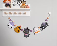 there are many cats hanging on the wall next to bookshelves and shelves with stuffed animals