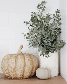 a white vase filled with greenery next to a small pumpkin on top of a wooden shelf