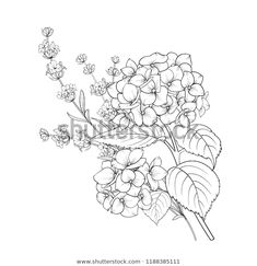 a bouquet of flowers with leaves and buds on a white background in the style of engraving