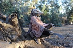 a person sitting on top of a tree stump