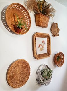 wicker baskets are arranged on the wall with succulents and air plants