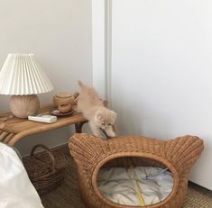 a small dog standing on top of a bed next to a wicker chair and table