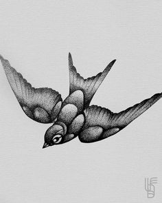 a drawing of a bird flying in the sky