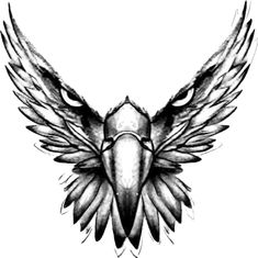 an eagle's head with wings drawn in black and white