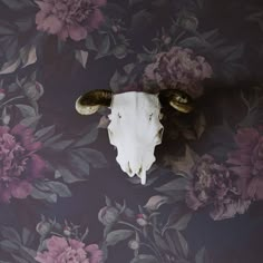 an animal skull mounted to the side of a wall with flowers on it's head