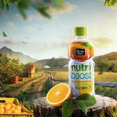 a bottle of nutri booster sitting on top of a tree stump next to oranges