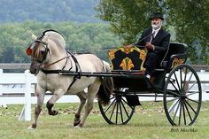 two people riding in a carriage pulled by a horse and buggy on a grass field