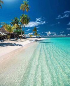 the beach is lined with palm trees and thatched roofed huts, which are surrounded by clear blue water