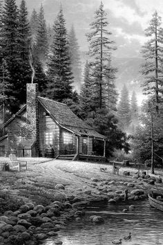 this is a black and white drawing of a cabin in the woods with ducks on the water