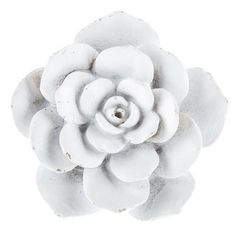 a white flower is shown on a white background with clippings to the bottom