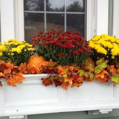 a window box filled with lots of colorful flowers