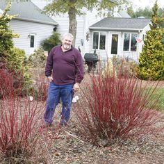 an older man standing in front of some red bushes and shrubs with purple flowers on them