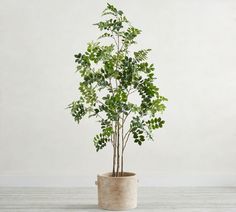 a potted plant with green leaves in it on a wooden table next to a white wall