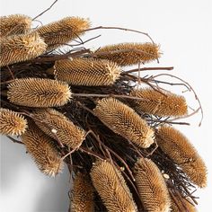 a bunch of dried flowers sitting on top of a white table next to each other