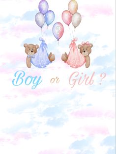 two teddy bears holding balloons with the words boy or girl? on them in blue, pink and white