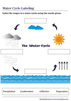 water cycle labelling worksheet for kids and adults to learn about the water cycle