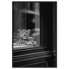 a black and white photo of a cheetah sitting on a window sill