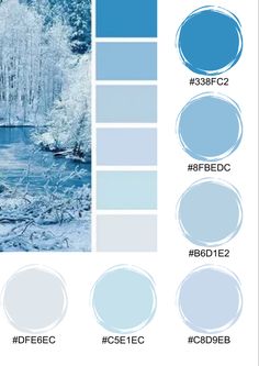 the color palette is blue and white with some trees in the background, along with other shades