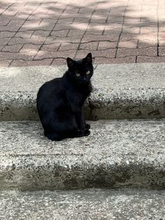 a black cat is sitting on some steps