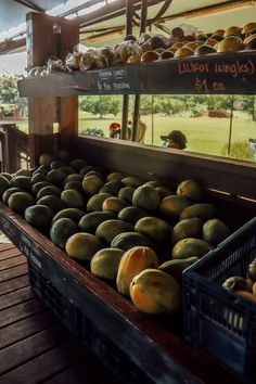 there are many melons on display at the farmers market