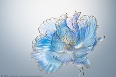 a blue flower is shown against a gray background