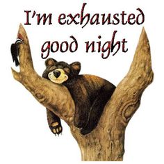 Funny good night | Good night everyone hope y'all have sweet dreams ! #tweegram I'm Exhausted, Good Night Sleep Tight, Good Night Funny, Good Night Everyone, Night Gif, Cute Good Night, Slaap Lekker