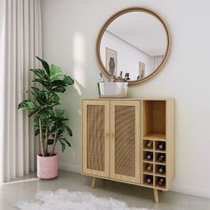 a wooden cabinet sitting next to a potted plant on top of a white rug