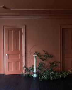 an empty room with two doors and a plant on the floor in front of it