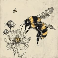 a drawing of a bee on top of a flower next to a flying insect in the air