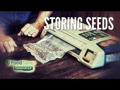 a man sitting at a table with food in front of him and the words, storing seeds