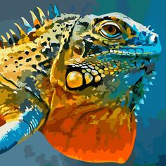 an iguana is shown on a blue background with orange and yellow colors in the foreground