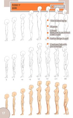 how to draw the human body from different angles and sizes, with instructions for each section