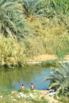 two people sitting on the bank of a river in front of palm trees and water