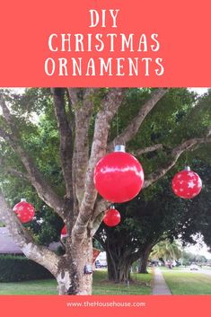 a tree with red ornaments hanging from it