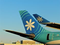 the tail end of two airplanes with flower decorations on them, against a blue sky