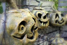 several carved pumpkins with faces on them