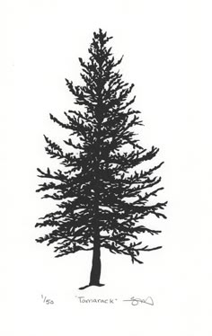 a black and white drawing of a pine tree with the words, i've turned back on it