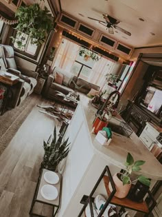 a living room filled with furniture and lots of plants on top of a counter next to a window