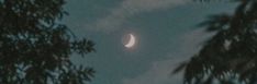 the moon is seen through some trees at night