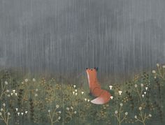 an illustration of a fox in the rain with flowers and plants around it, looking up into the sky