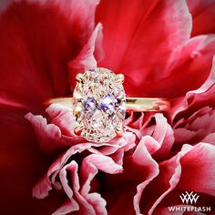 a diamond ring sitting on top of a pink flower