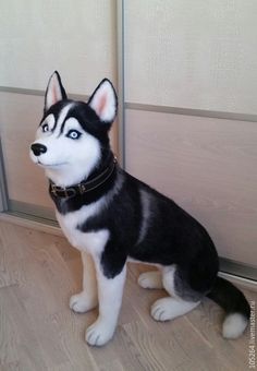 a black and white husky dog sitting in front of a door with its head turned to the side