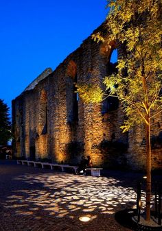 an old stone building lit up at night with trees in the foreground and people sitting on benches near it