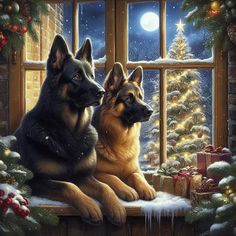 two german shepherd dogs sitting on a window sill in front of a christmas tree