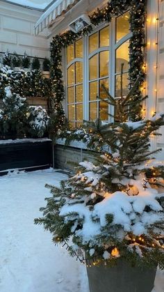 a potted tree covered in snow next to a window with christmas lights on it