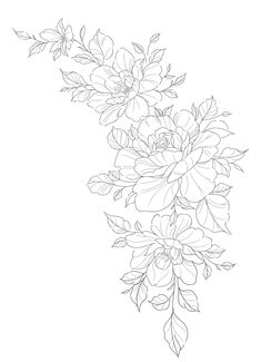 a line drawing of flowers on a white background