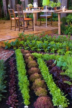 an outdoor garden with various plants growing in the ground and tables set up around it