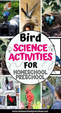 the words bird science activities for homeschool preschool are shown in this collage