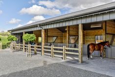 a brown horse standing in front of a wooden building with metal railings and windows